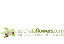 Serenata Flowers - 12.5% Off Orders